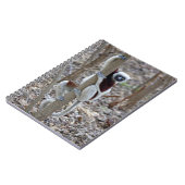 Madagaskar, Reservat Ankarafantsika; Ampijoroa; Notizblock (Linke Seite)