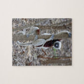 Madagaskar, Reservat Ankarafantsika; Ampijoroa; Puzzle (Horizontal)