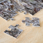 Madagaskar, Reservat Ankarafantsika; Ampijoroa; Puzzle (Seite)