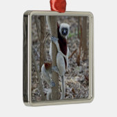 Madagaskar, Reservat Ankarafantsika; Ampijoroa; Silbernes Ornament (Rechts)