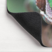 Madagaskar, Roter Bar Panther Chameleon Mousepad (Ecke)