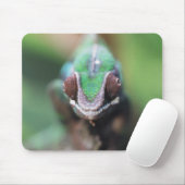Madagaskar, Roter Bar Panther Chameleon Mousepad (Mit Mouse)