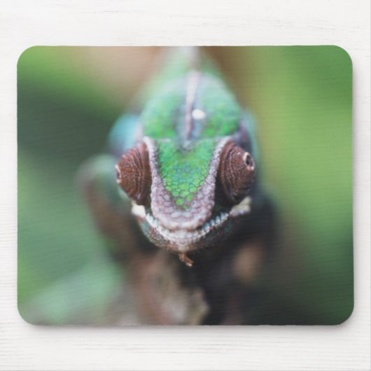 Madagaskar, Roter Bar Panther Chameleon Mousepad (Vorne)