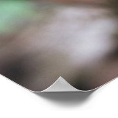 Madagaskar, Roter Bar Panther Chameleon Poster (Ecke)