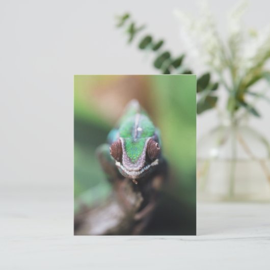 Madagaskar, Roter Bar Panther Chameleon Postkarte (Stehend Vorderseite)