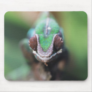 Madagaskar, Rotstab-Pantherchamäleon Mousepad
