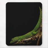 Madagaskar-Tag Gecko mousepad (Vorne)