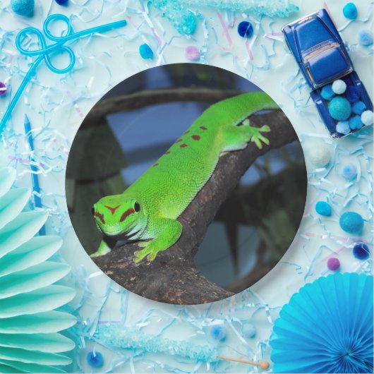 Madagaskar-Tagesgecko Pappteller (Party)