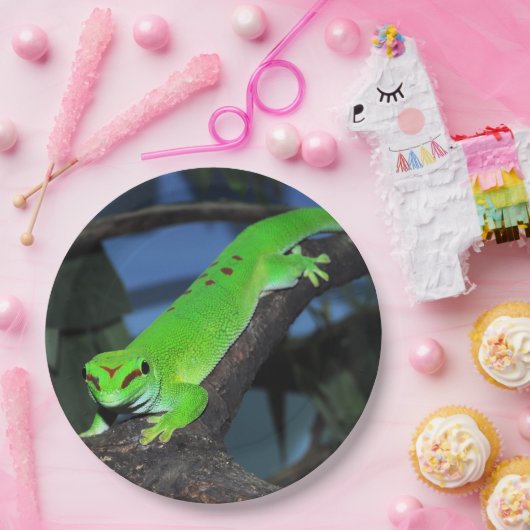Madagaskar-Tagesgecko Pappteller (Party)
