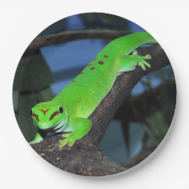 Madagaskar-Tagesgecko Pappteller