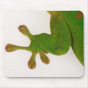 Madagaskar-Tagesgecko (Phelsuma madagascariensis 2 Mousepad
