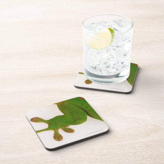 Madagaskar-Tagesgecko (Phelsuma madagascariensis 2 Untersetzer (Rechte Seite)