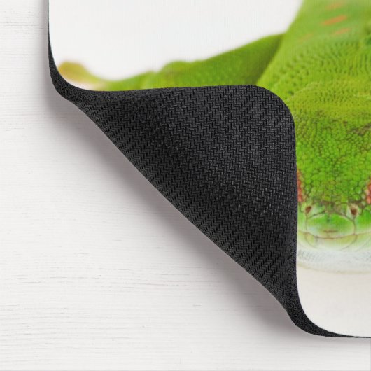 Madagaskar-Tagesgecko (Phelsuma madagascariensis) Mousepad (Ecke)