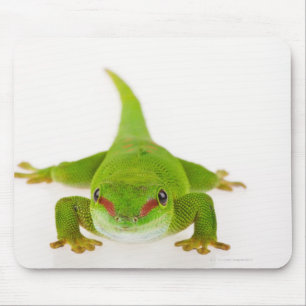 Madagaskar-Tagesgecko (Phelsuma madagascariensis) Mousepad
