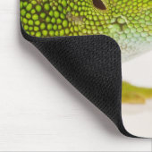 Madagaskar-Tagesgecko (Phelsuma madagascariensis Mousepad (Ecke)