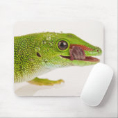 Madagaskar-Tagesgecko (Phelsuma madagascariensis Mousepad (Mit Mouse)
