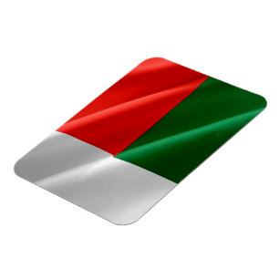 Madagaskar - Waving Flag - Magnet