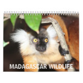 Madagaskar-wild lebende Tiere Kalender (Titelbild)