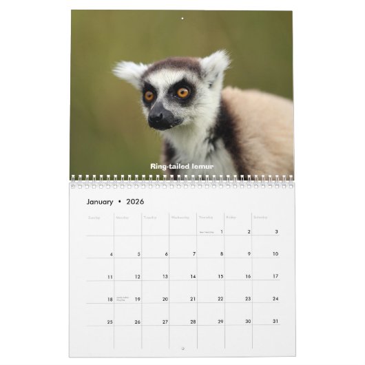Madagaskar-wild lebende Tiere Kalender (Jan 2026)
