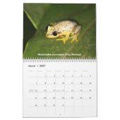 Madagaskar-wild lebende Tiere Kalender (Mär 2027)