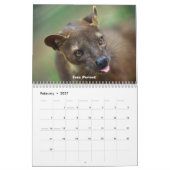 Madagaskar-wild lebende Tiere Kalender (Feb 2027)
