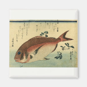 Madai oder Red Tai - Hiroshige japanische Fischdru Magnet
