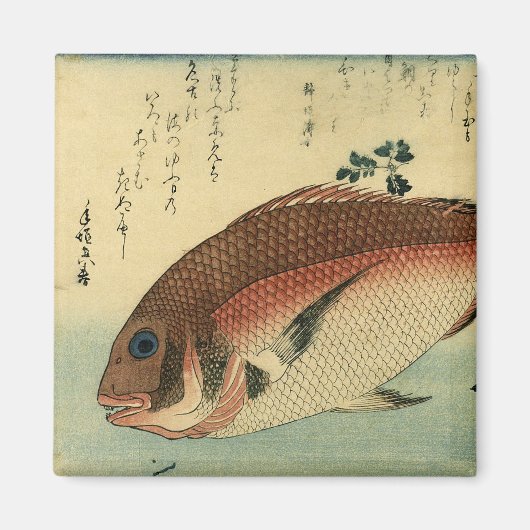 Madai oder Red Tai - Hiroshige japanische Fischdru Magnet (Vorne)