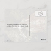 Madame de Pompadour von Francois Boucher Postkarte (Rückseite)