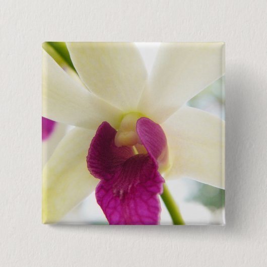 Madame Orchid Button (Vorderseite)