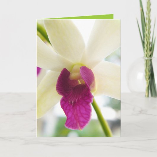 Madame Orchid Karte (Vorderseite)