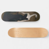 Madame X Lieben-2 Skate Fine Art Parody Skateboard (Horizontal)