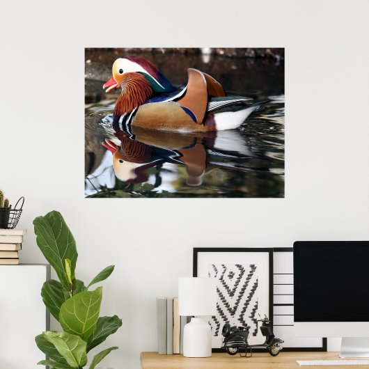 Madarin Duck Poster (Heimbüro)