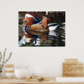 Madarin Duck Poster (Küche)