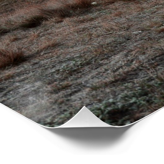 Mädchen am Pferd Poster (Ecke)