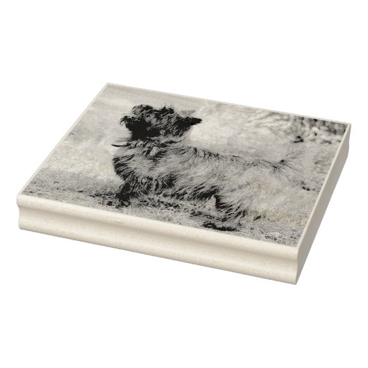 Mädchen anzeigen gummistempel (Stempel)