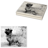 Mädchen anzeigen gummistempel (Stempel)