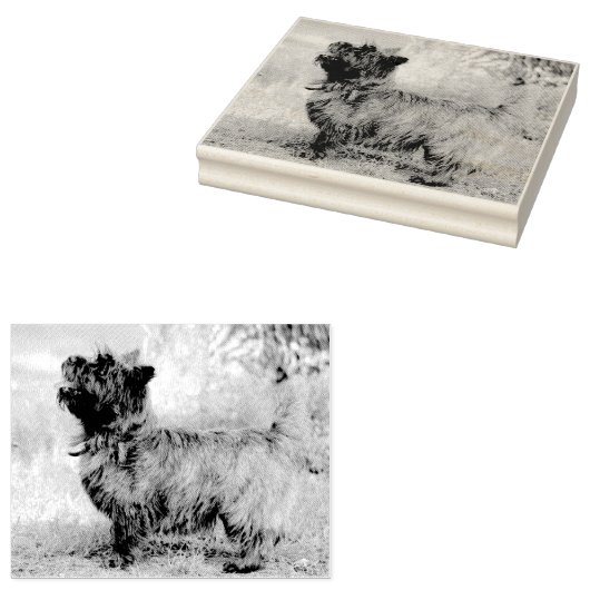 Mädchen anzeigen gummistempel (Stempel)