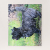 Mädchen anzeigen puzzle (Vertikal)