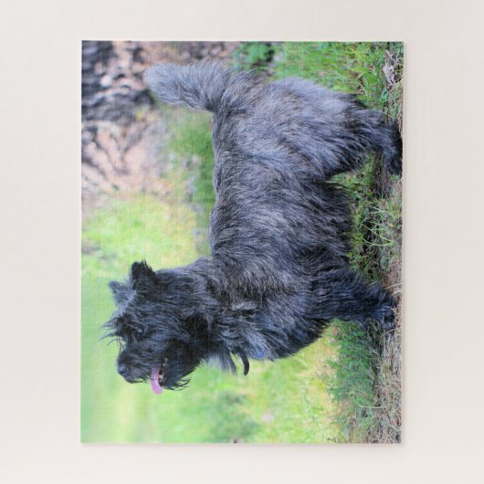 Mädchen anzeigen puzzle (Vertikal)