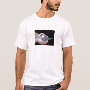 Mädchen, das Baby budgie Shirt hält