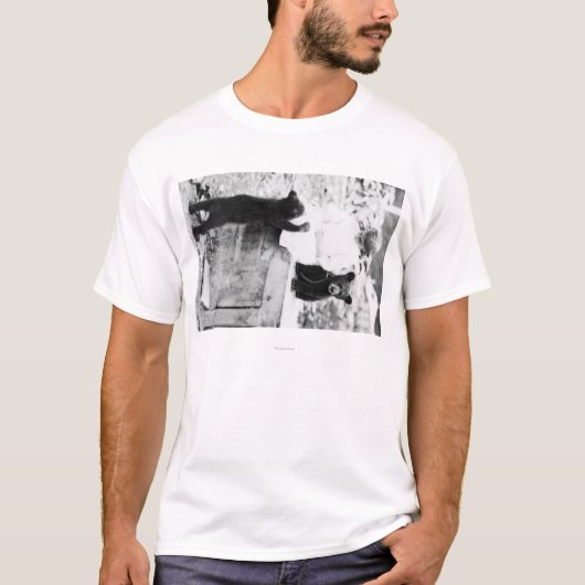 Mädchen, das mit Bärenjunges in Seward spielt T-Shirt (Vorderseite)