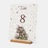 Mädchen-Dinosaurier-Geburtstag Acrylschild (Winkel)