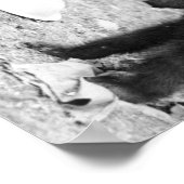 Mädchen Fütternd Bärenkuppe in Seward Poster (Ecke)