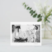 Mädchen Fütternd Bärenkuppe in Seward Postkarte (Stehend Vorderseite)