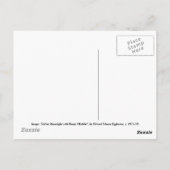 Mädchen im Mondlicht mit Banjo Ukulele Postkarte (Rückseite)