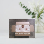 Mädchen in Box- Ankündigungspostkarte (Stehend Vorderseite)