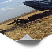 Mädchen mit Drachen Poster (Ecke)