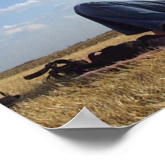 Mädchen mit Drachen Poster (Ecke)