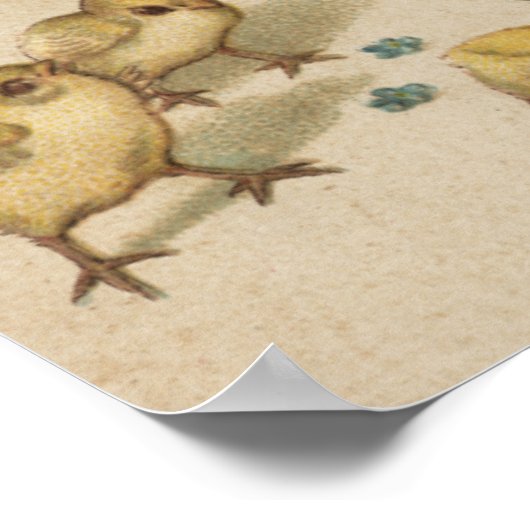 Mädchen mit Hühnern Poster (Ecke)