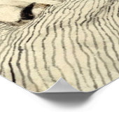 Mädchen mit Katze, Albert Anker Poster (Ecke)